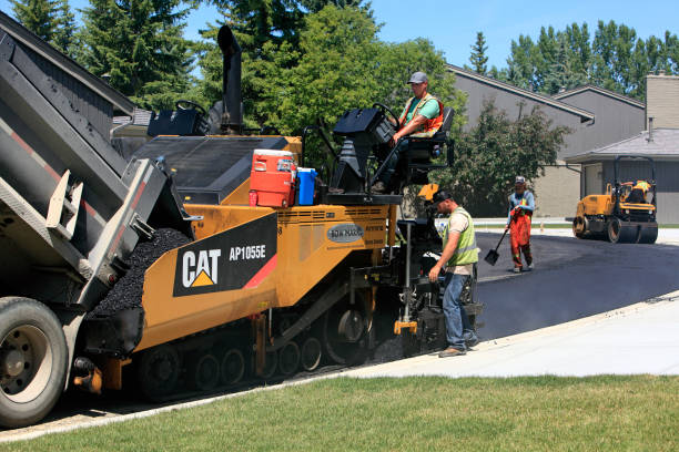 Best Local Driveway Pavers  in Camden, AR